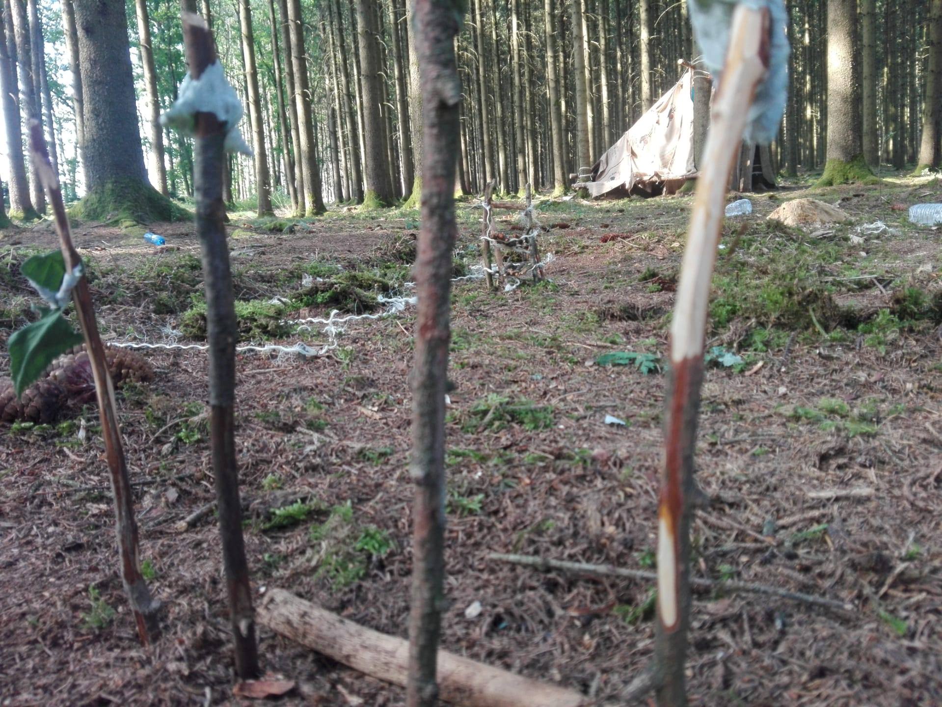 Sint-Martinus den XIIde - Kamp Losange JVK